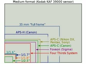 sensor-size-wikipedia
